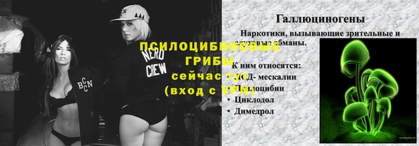 сатива Инсар