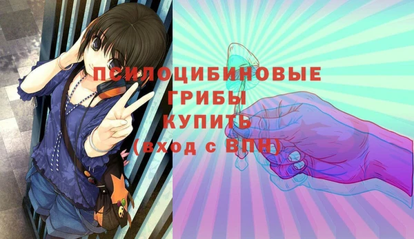 a pvp Вязьма