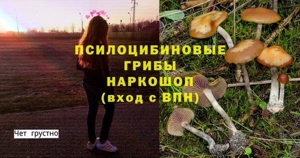 a pvp Вязьма