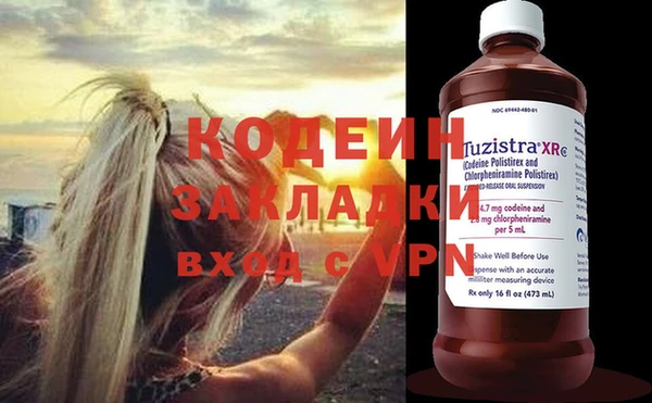 хмурый Вяземский